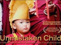 小活佛 在线观看,探寻神秘佛国，揭秘神秘传说